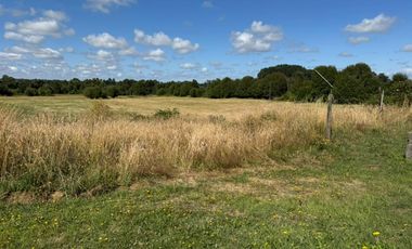 ARRIENDO CASA AMOBLADA CAMINO PUYEHUE