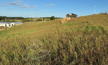 PARCELA A 20 KM DE OSORNO, CAMINO QUILACAHUIN