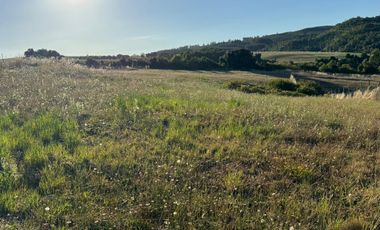 PARCELA A 20 KM DE OSORNO, CAMINO QUILACAHUIN