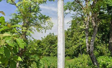 Tanah dijual di Bangkalan, Bangkalan, Jawa Timur