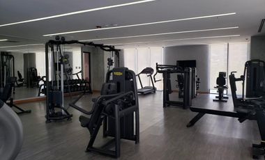 Renta de Departamento Torre Dana