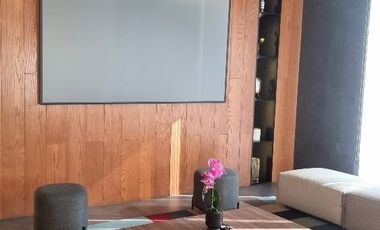 Renta de Departamento Torre Dana