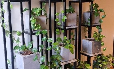 Renta de Departamento Torre Dana