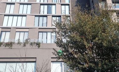 Renta de Departamento Torre Dana