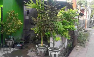 dijual rumah dan kos kosan driyorejo gresik