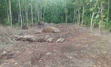 dijual tanah 3550 m² IDR 300 juta per are nego dekat SMP negeri 5 Kutuh Kuta Selatan Badung Bali