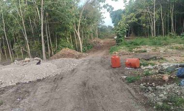 dijual tanah 3550 m² IDR 300 juta per are nego dekat SMP negeri 5 Kutuh Kuta Selatan Badung Bali