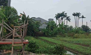 Dijual sebidang tanah yg luas cocok untuk berbagai bisnis dan usaha untuk pabrik, perumahan ,pergudangan dll