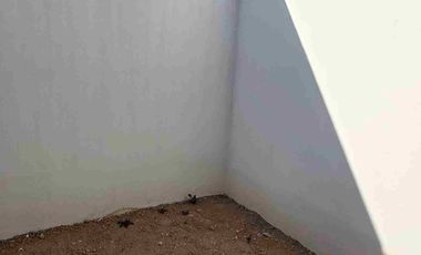 Casas nuevas de un piso en venta al sur de la ciudad de Pachuca,  Hidalgo,  en privada.