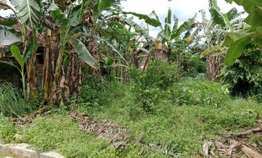 Tanah dijual di Bengkal, Mijen, Demak, Jawa Tengah