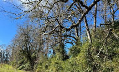 🏡 Se venden Parcelas a solo 15 minutos de la salida norte de Valdivia.