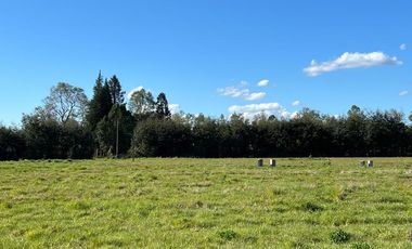 🏡 Se venden Parcelas a solo 15 minutos de la salida norte de Valdivia.