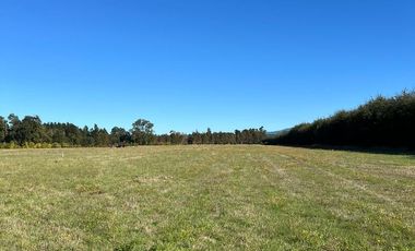 🏡 Se venden Parcelas a solo 15 minutos de la salida norte de Valdivia.