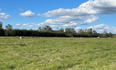 🏡 Se venden Parcelas a solo 15 minutos de la salida norte de Valdivia.