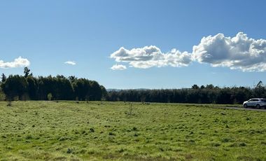 🏡 Se venden Parcelas a solo 15 minutos de la salida norte de Valdivia.