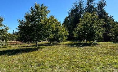 🏡 Se venden Parcelas a solo 15 minutos de la salida norte de Valdivia.