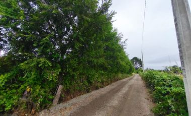 Se vende parcela en sector Pitraco