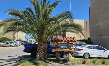 Departamento en Arriendo, Disponible Marzo