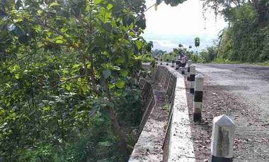 Tanah Pekarangan Luas 1207 Meter Persegi Lokasi Jatimulyo , Girimulyo - Kulon Progo