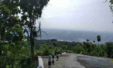 Tanah Pekarangan Luas 1207 Meter Persegi Lokasi Jatimulyo , Girimulyo - Kulon Progo