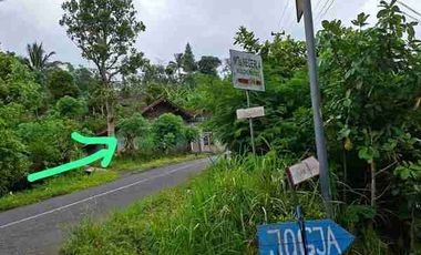 Tanah Pekarangan Luas 1207 Meter Persegi Lokasi Jatimulyo , Girimulyo - Kulon Progo
