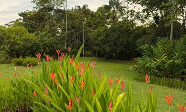 Venta de casa en Villavicencio, Meta, ALID
