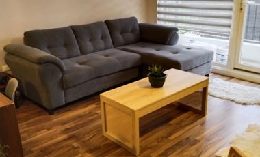 Arrienda Depto. amueblado, condominio playa schwerter Puerto Varas