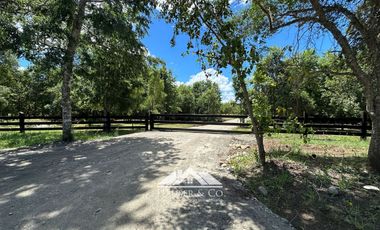 OPORTUNIDAD Parcelas en venta Proyecto El Radal Villarrica