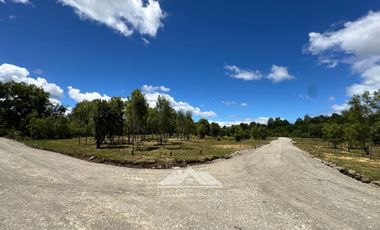 OPORTUNIDAD Parcelas en venta Proyecto El Radal Villarrica