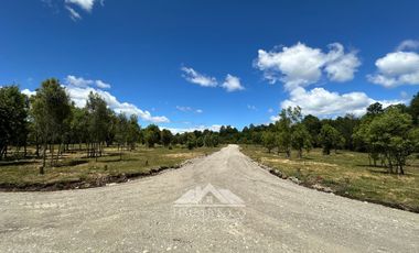 OPORTUNIDAD Parcelas en venta Proyecto El Radal Villarrica