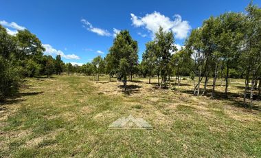 OPORTUNIDAD Parcelas en venta Proyecto El Radal Villarrica