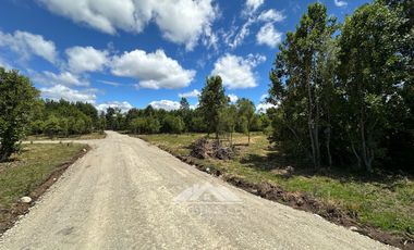 OPORTUNIDAD Parcelas en venta Proyecto El Radal Villarrica