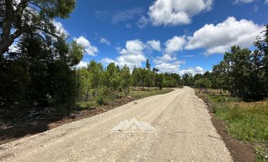 OPORTUNIDAD Parcelas en venta Proyecto El Radal Villarrica