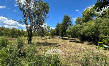 OPORTUNIDAD Parcelas en venta Proyecto El Radal Villarrica