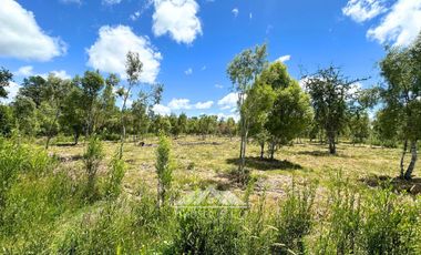 OPORTUNIDAD Parcelas en venta Proyecto El Radal Villarrica