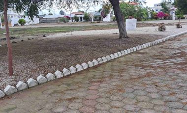 Terreno vendo