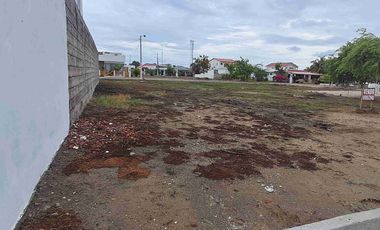 Terreno vendo