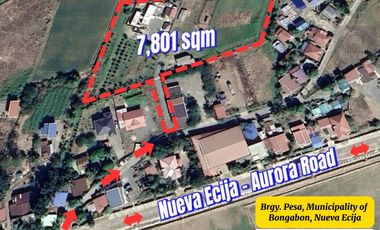 7,801 sqm House & Farm Lot for Sale. Spacious House and Farm Lot with Abundant Fruit-Bearing Trees and Natural Greenery