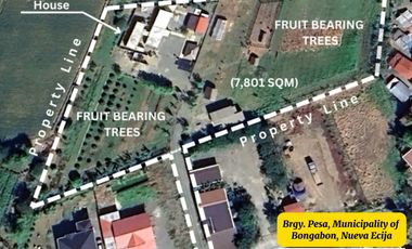 7,801 sqm House & Farm Lot for Sale. Spacious House and Farm Lot with Abundant Fruit-Bearing Trees and Natural Greenery