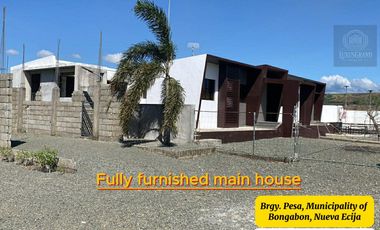 7,801 sqm House & Farm Lot for Sale. Spacious House and Farm Lot with Abundant Fruit-Bearing Trees and Natural Greenery