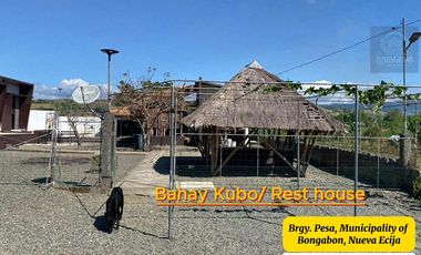 7,801 sqm House & Farm Lot for Sale. Spacious House and Farm Lot with Abundant Fruit-Bearing Trees and Natural Greenery
