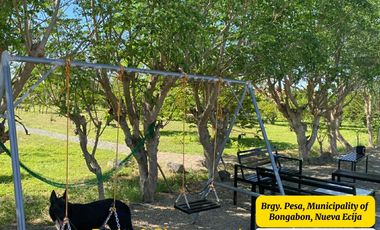 7,801 sqm House & Farm Lot for Sale. Spacious House and Farm Lot with Abundant Fruit-Bearing Trees and Natural Greenery