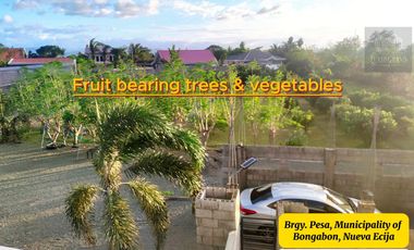 7,801 sqm House & Farm Lot for Sale. Spacious House and Farm Lot with Abundant Fruit-Bearing Trees and Natural Greenery