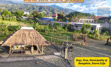 7,801 sqm House & Farm Lot for Sale. Spacious House and Farm Lot with Abundant Fruit-Bearing Trees and Natural Greenery
