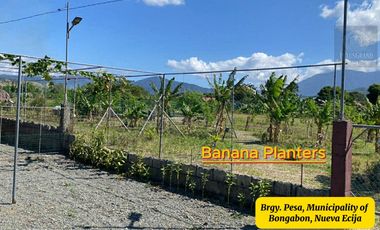 7,801 sqm House & Farm Lot for Sale. Spacious House and Farm Lot with Abundant Fruit-Bearing Trees and Natural Greenery