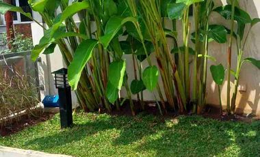 Rumah Baru Murah di Griya Katulampa