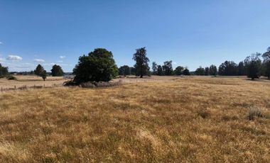 PARCELA DE 3 HECTÁREAS CERCA OSORNO