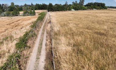 PARCELA DE 3 HECTÁREAS CERCA OSORNO