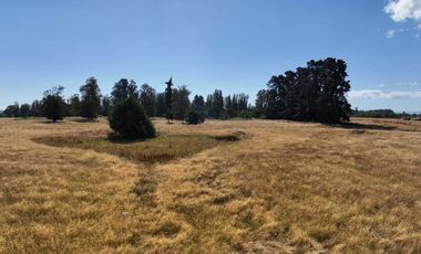 PARCELA DE 3 HECTÁREAS CERCA OSORNO