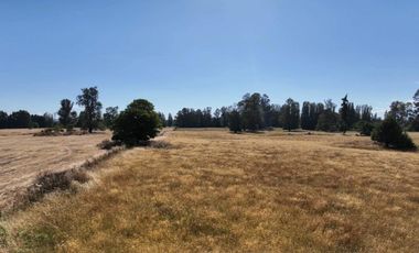 PARCELA DE 3 HECTÁREAS CERCA OSORNO